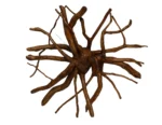 Madusa Teak Root Sun Goddess Face Mask Handmade Tiki Wood Carving - Image 2