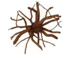 Madusa Teak Root Sun Goddess Face Mask Handmade Tiki Wood Carving