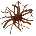 Madusa Teak Root Sun Goddess Face Mask Handmade Tiki Wood Carving