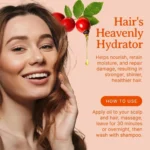 Pure Organic Rosehip Seed Oil Cold Pressed Face Skin Hair - Image 4